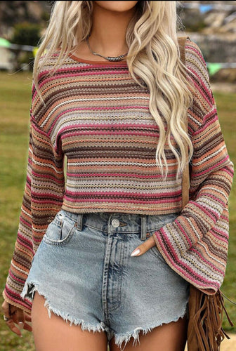 Rose Striped Cropped Long Sleeve Top- Pink Multi